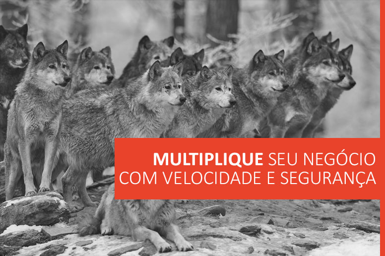 gestão de franquias